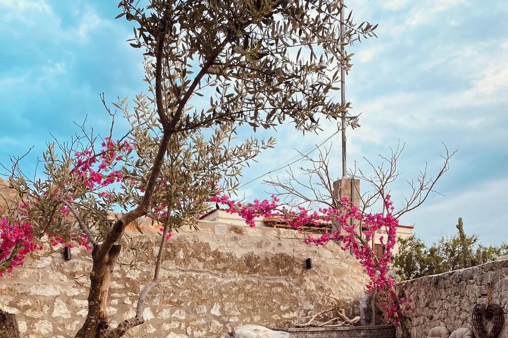 Photo of Outdoor in Areopoli
