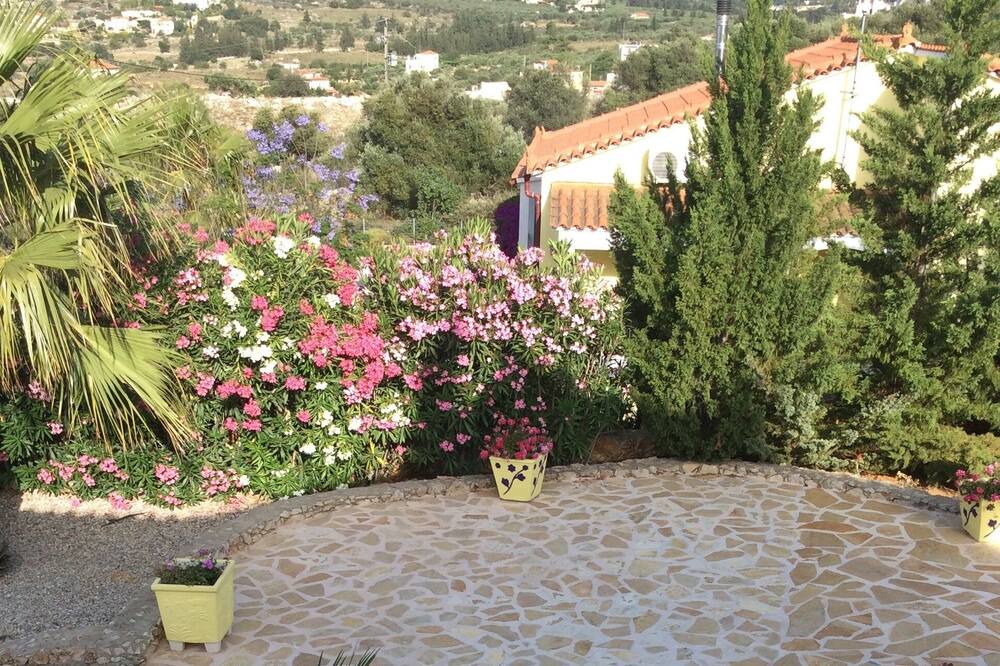 Photo of Outdoor in Vamos