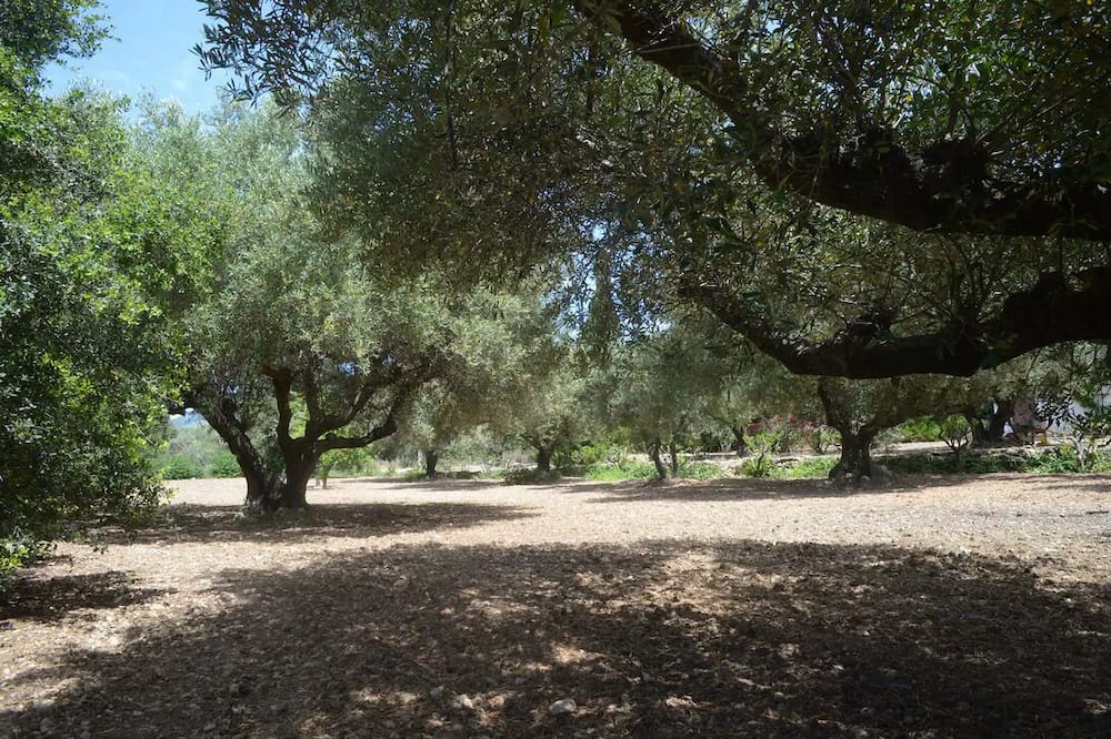 Photo of Outdoor in Lourdata