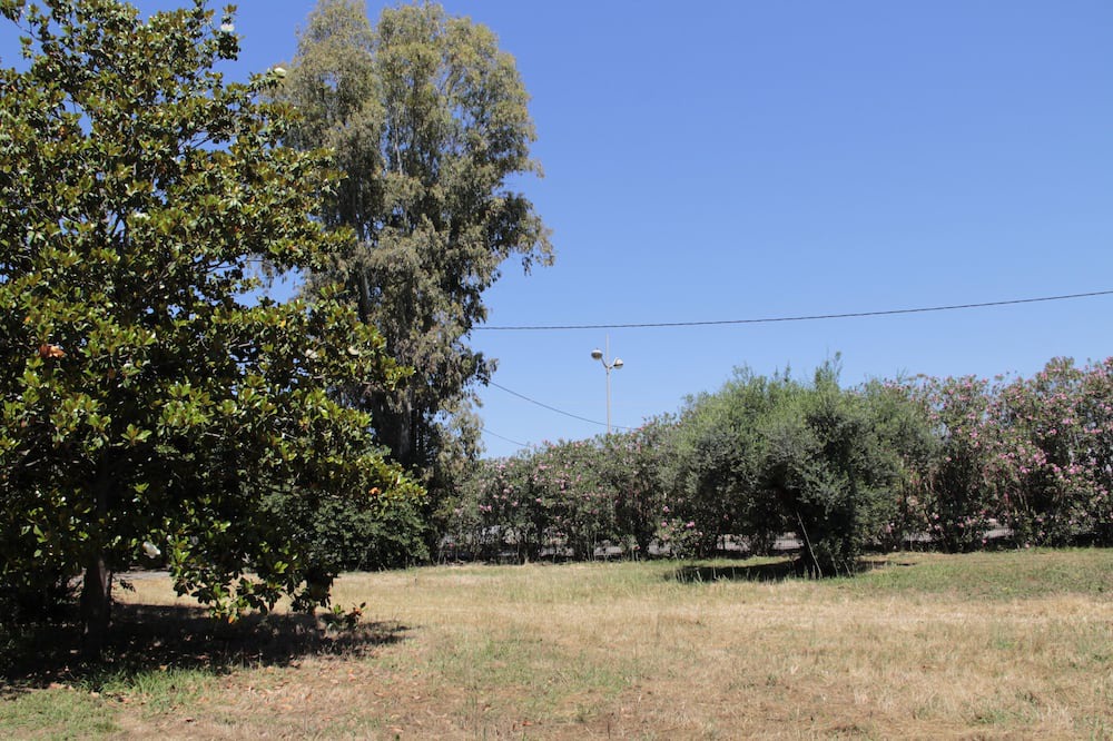 Photo of Outdoor in Amaliada