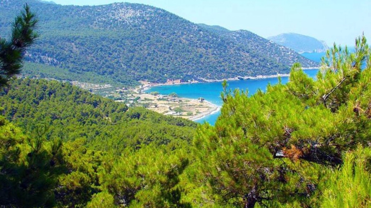 Photo of Others in Kritinia