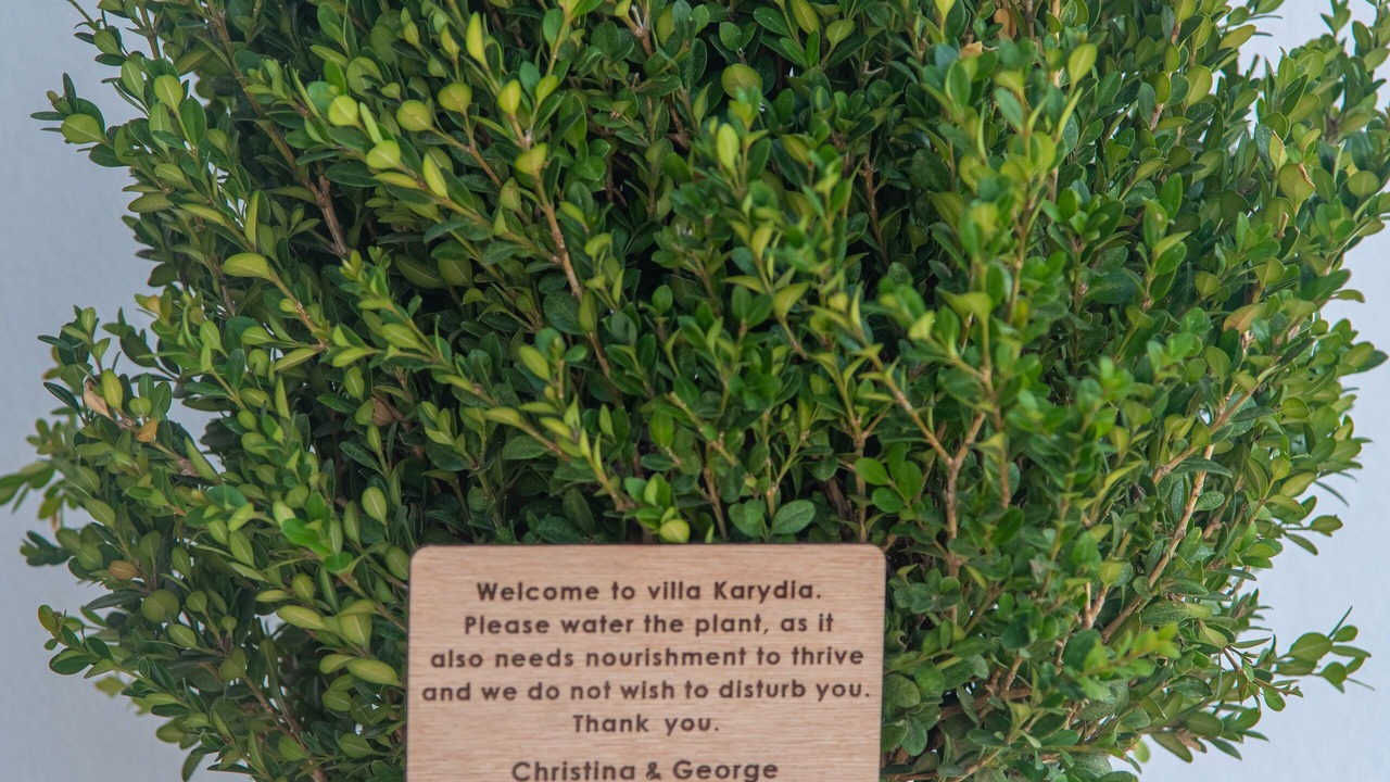 Photo of Outdoor in Zipari