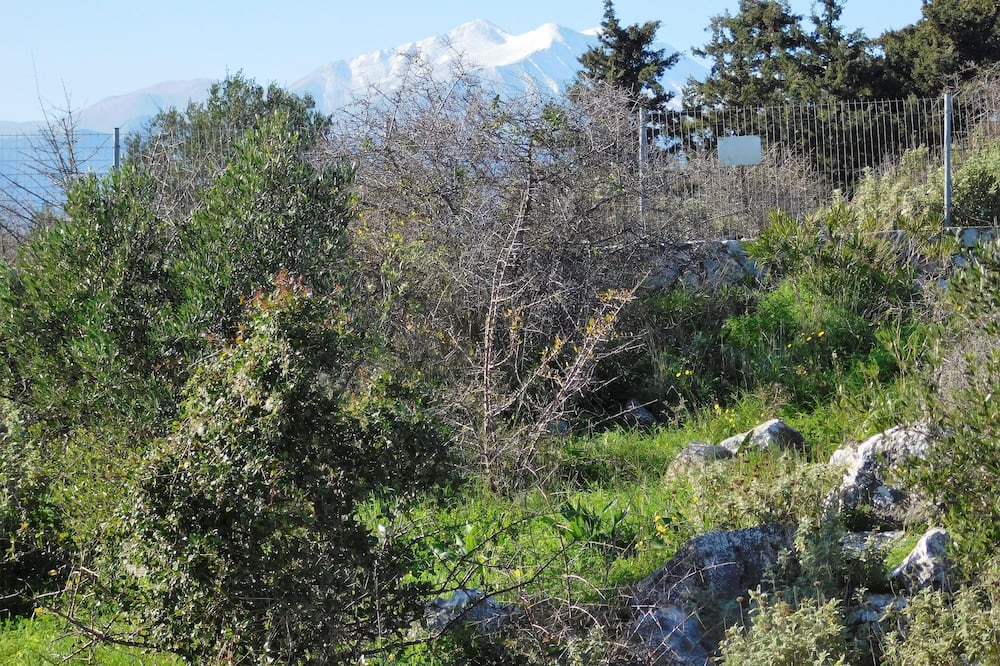 Photo of Others in Kefalas