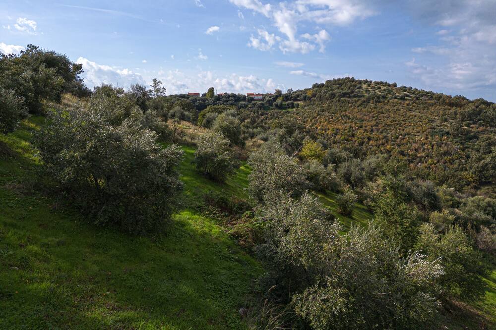 Photo of Others in Peroulion