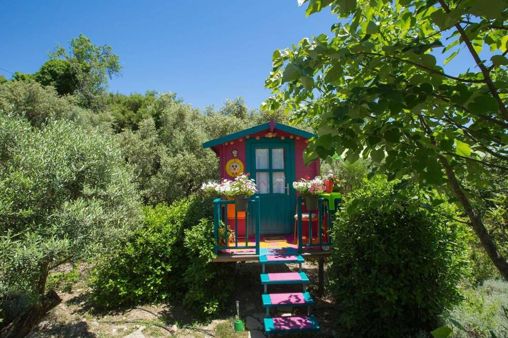 Photo of Outdoor in Lazarata
