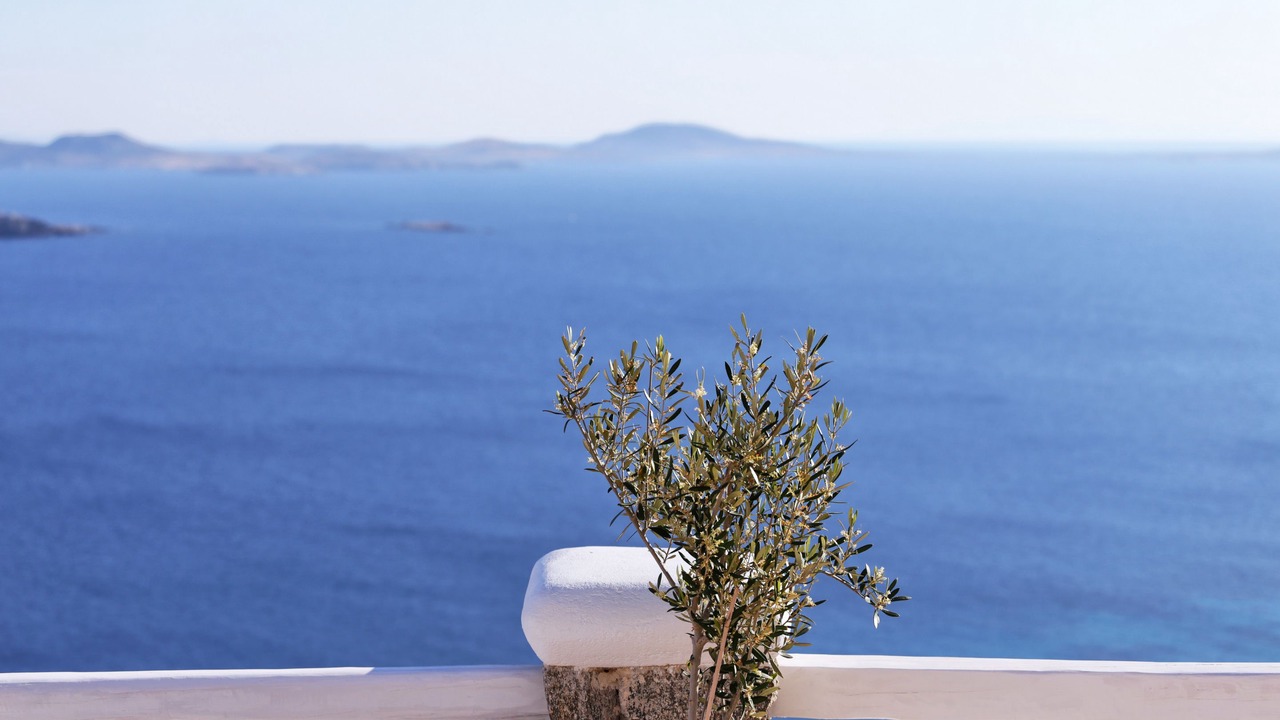 Photo of Others in Agios Stefanos