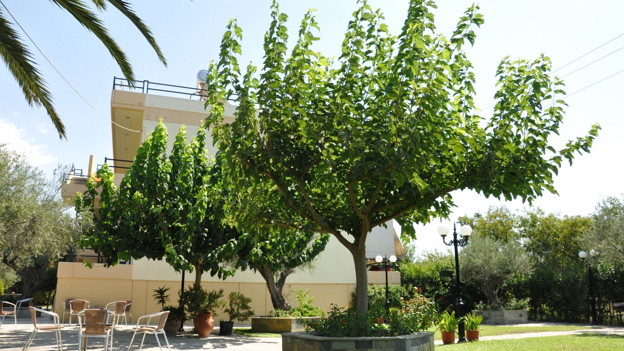 Photo of Outdoor in Sarakiniko