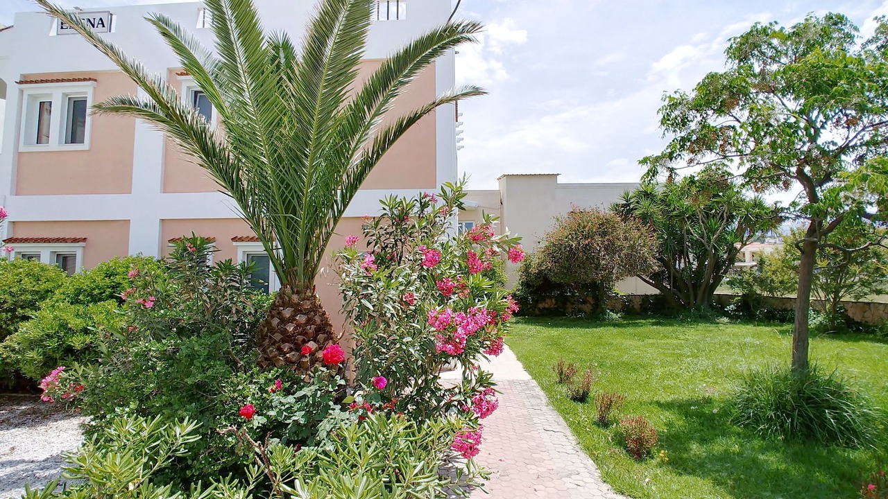 Photo of Outdoor in Almyrida