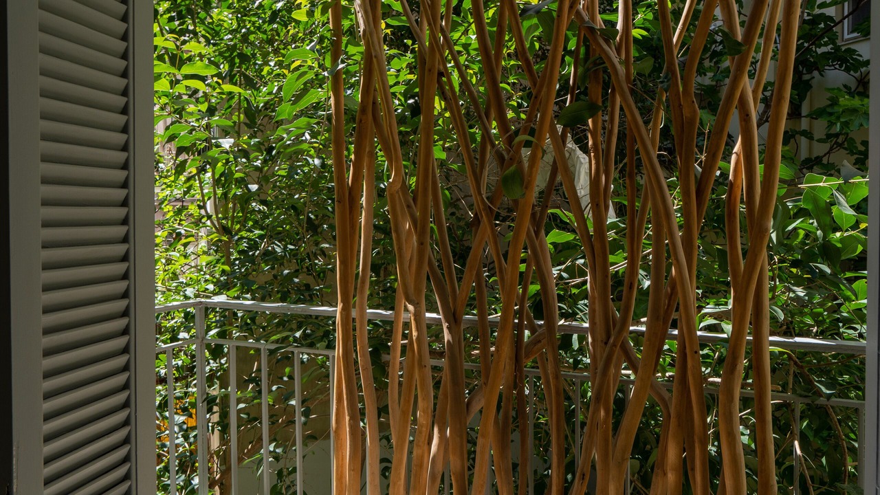 Photo of Patio Balcony in Pangrati