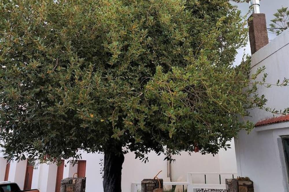 Photo of Outdoor in Kritinia