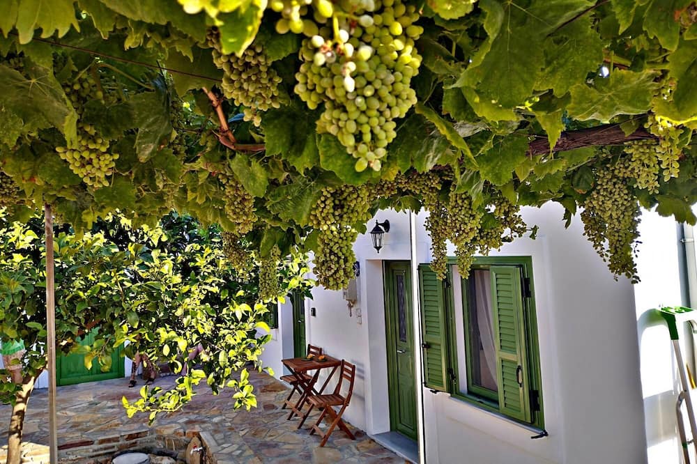 Photo of Outdoor in Kritinia