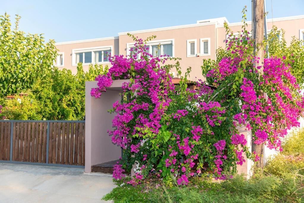 Photo of Outdoor in Stavromenos