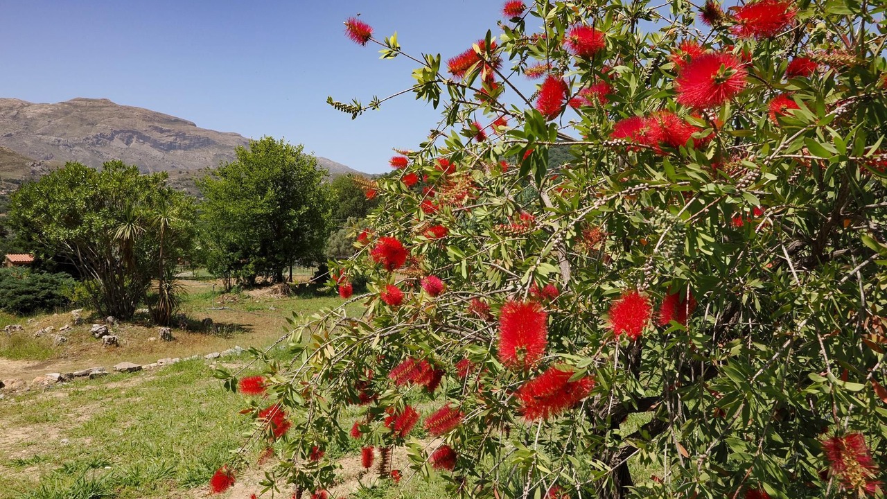 Photo of Outdoor in Amari