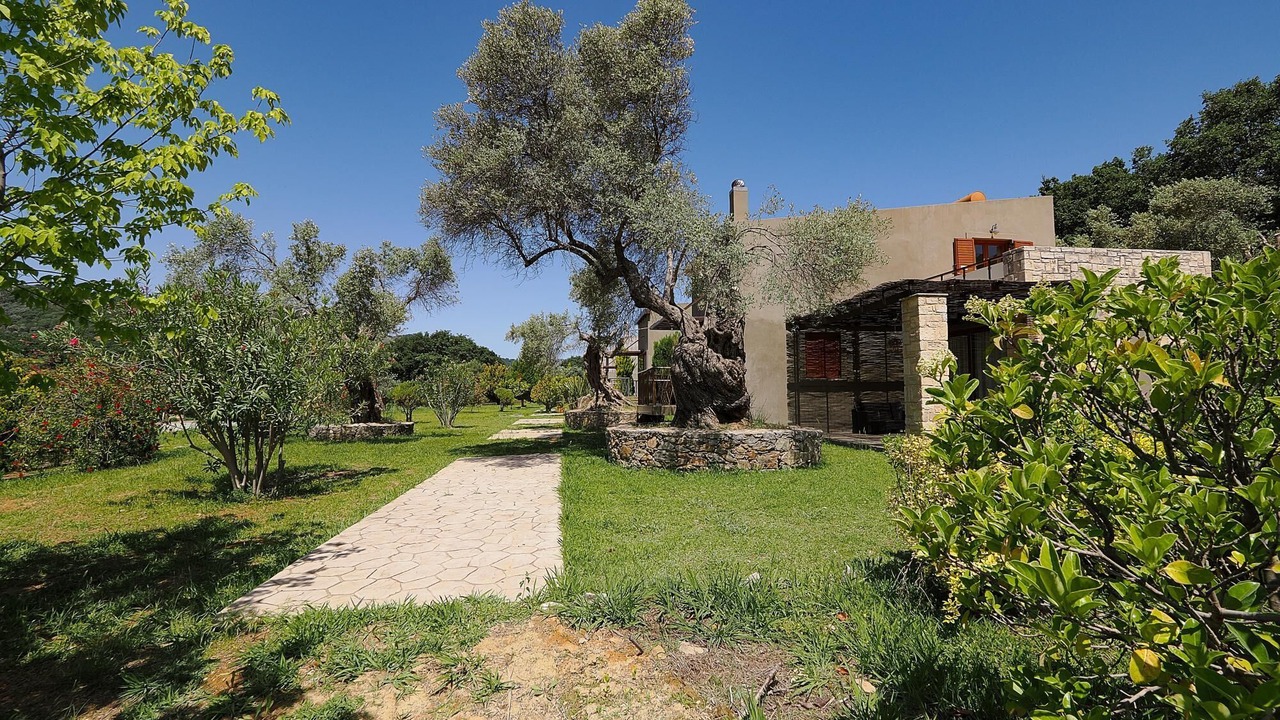 Photo of Outdoor in Amari
