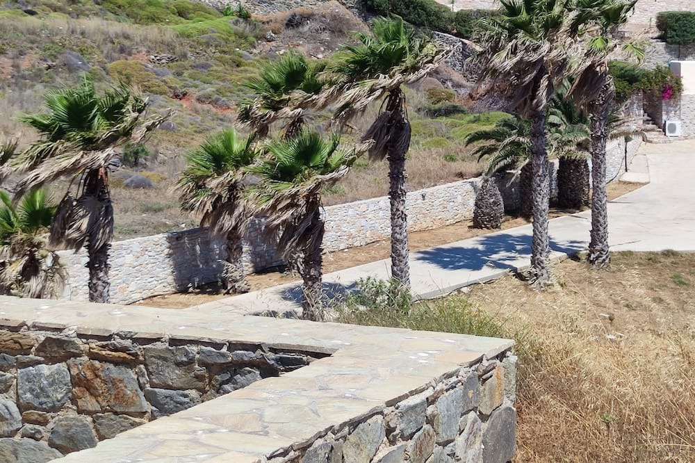 Photo of Outdoor in Azolimnos
