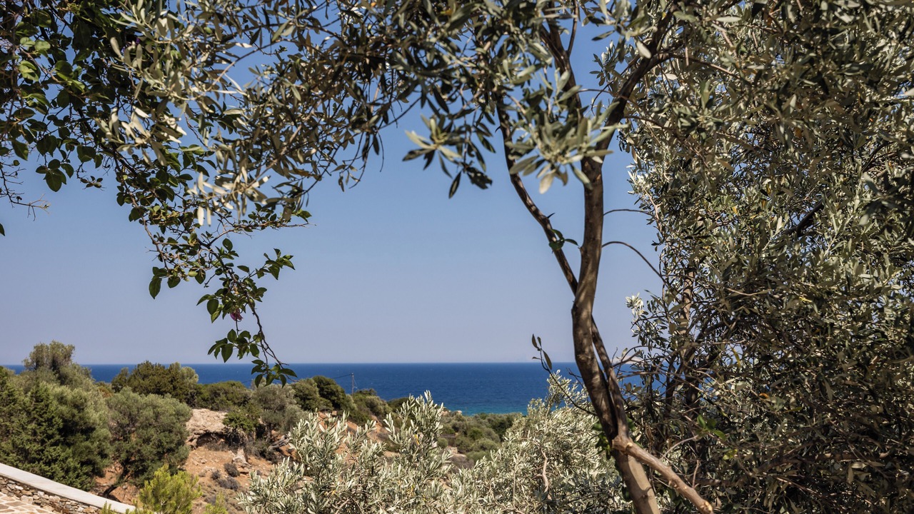 Photo of Others in Naxos