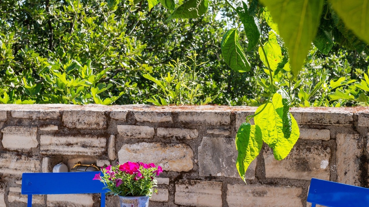 Photo of Outdoor in Prines