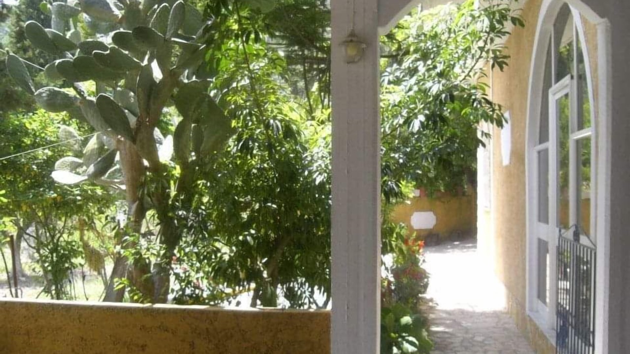 Photo of Outdoor in Moraitika