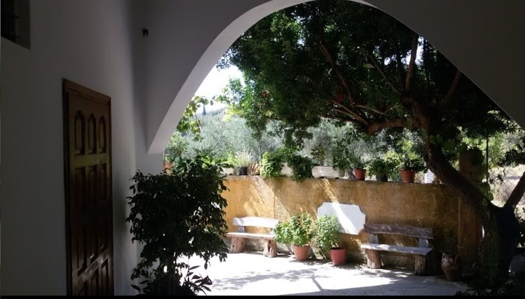 Photo of Outdoor in Moraitika