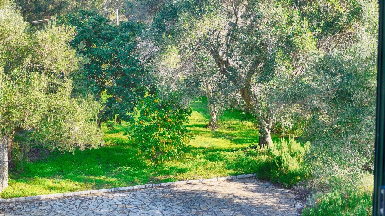 Photo of Others in Afionas