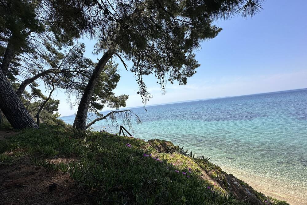 Photo of Others in Elia