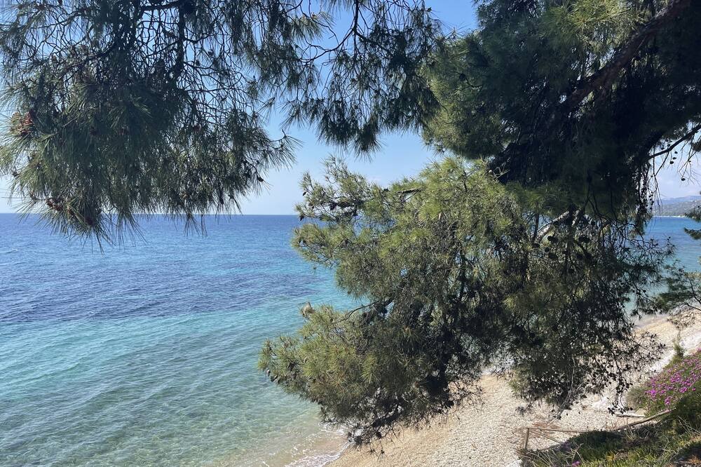Photo of Others in Elia