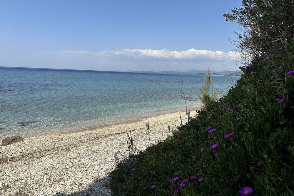 Photo of Others in Elia