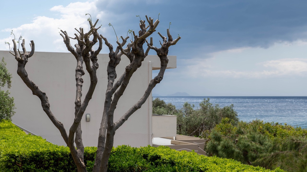 Photo of Outdoor in Ano Rodakino