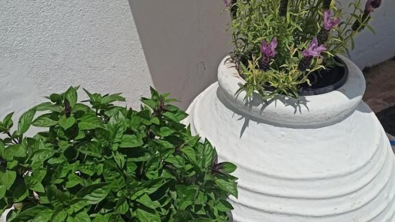 Photo of Outdoor in Methana