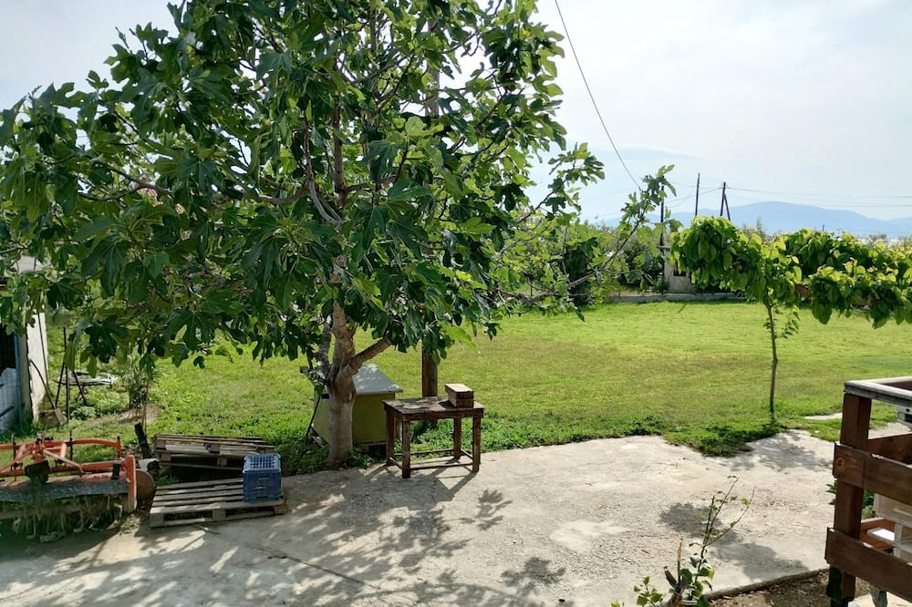 Photo of Outdoor in Artemida