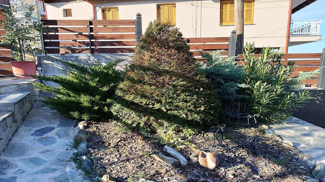 Photo of Outdoor in Skotina