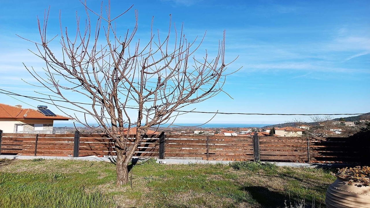 Photo of Outdoor in Skotina