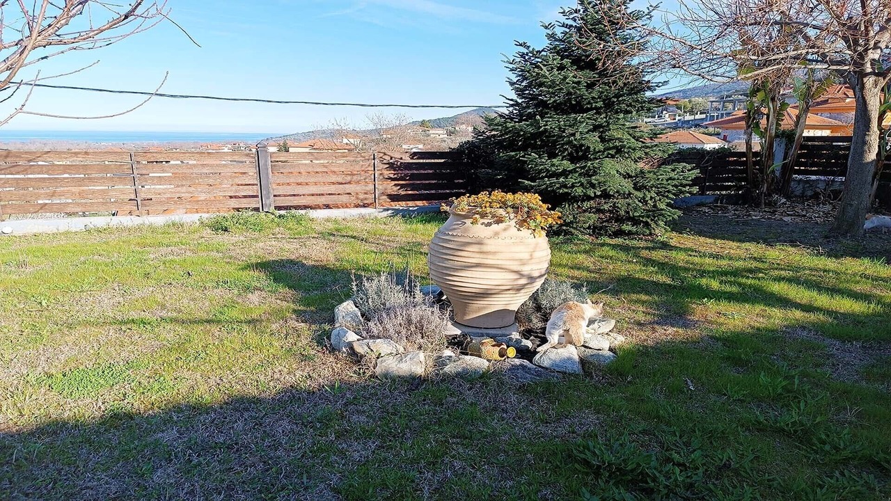 Photo of Outdoor in Skotina