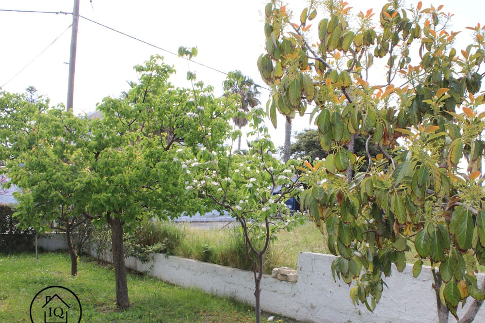 Photo of Outdoor in Lambi