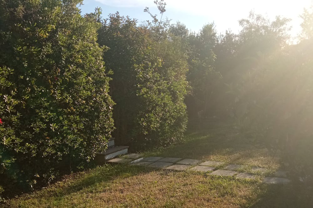 Photo of Outdoor in Theologos