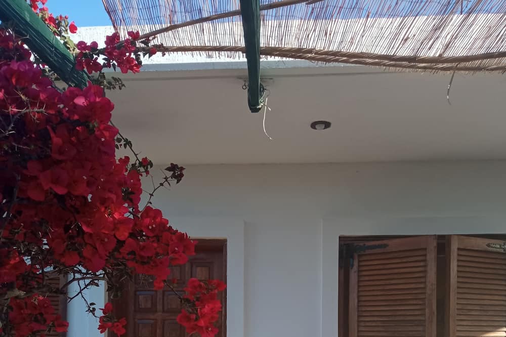 Photo of Outdoor in Theologos