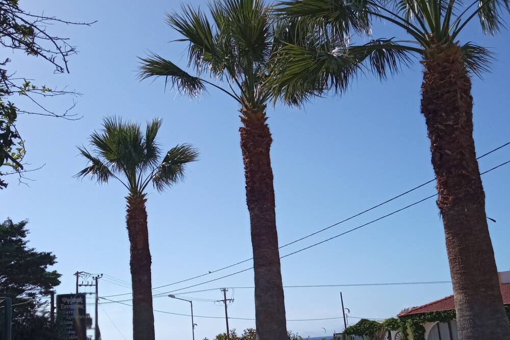 Photo of Outdoor in Theologos