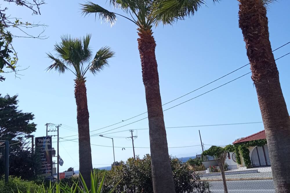 Photo of Outdoor in Theologos