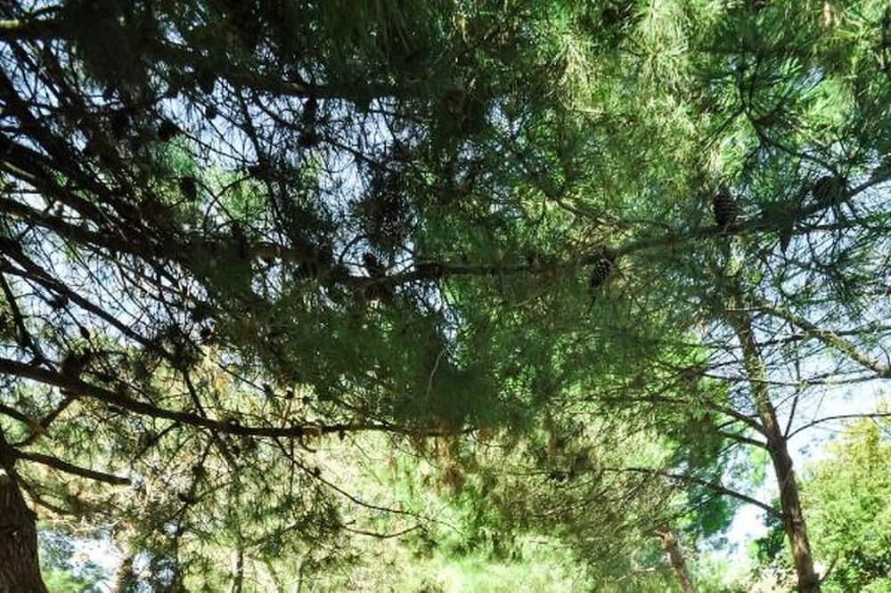 Photo of Outdoor in Ormos Prinou