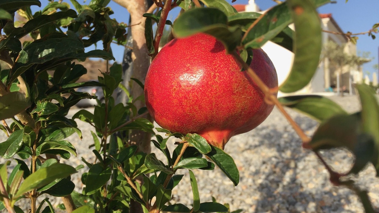 Photo of Outdoor in Agia Galini