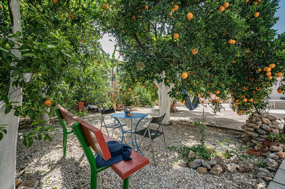 Photo of Outdoor in Agia