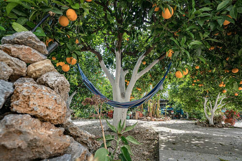 Photo of Outdoor in Agia