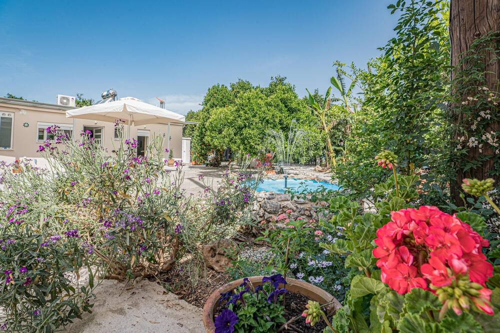 Photo of Outdoor in Agia