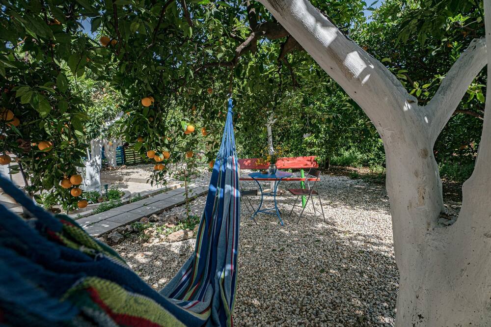 Photo of Outdoor in Agia