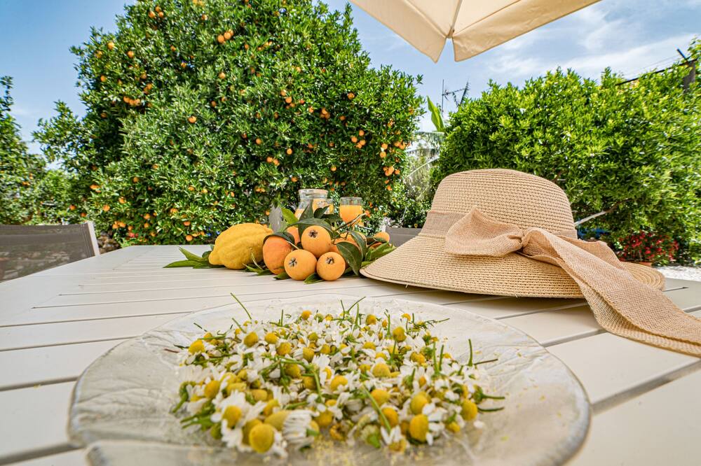 Photo of Patio Balcony in Agia