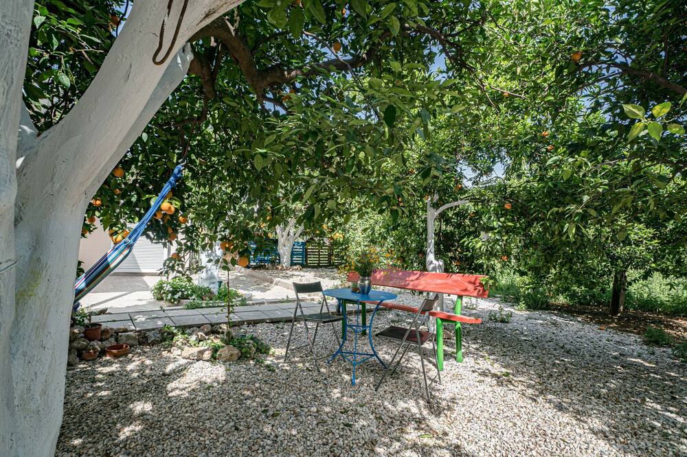 Photo of Outdoor in Agia