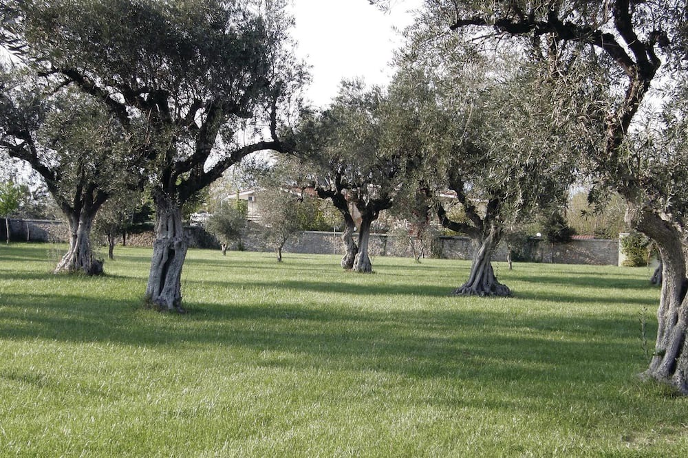 Photo of Outdoor in Molos-Agios Konstantinos