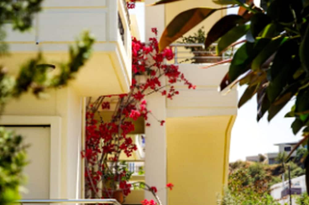 Photo of Outdoor in Vamvakopoulo