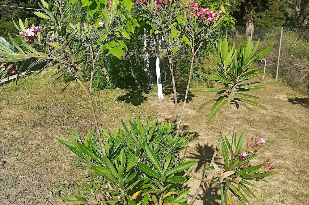 Photo of Outdoor in Kavos