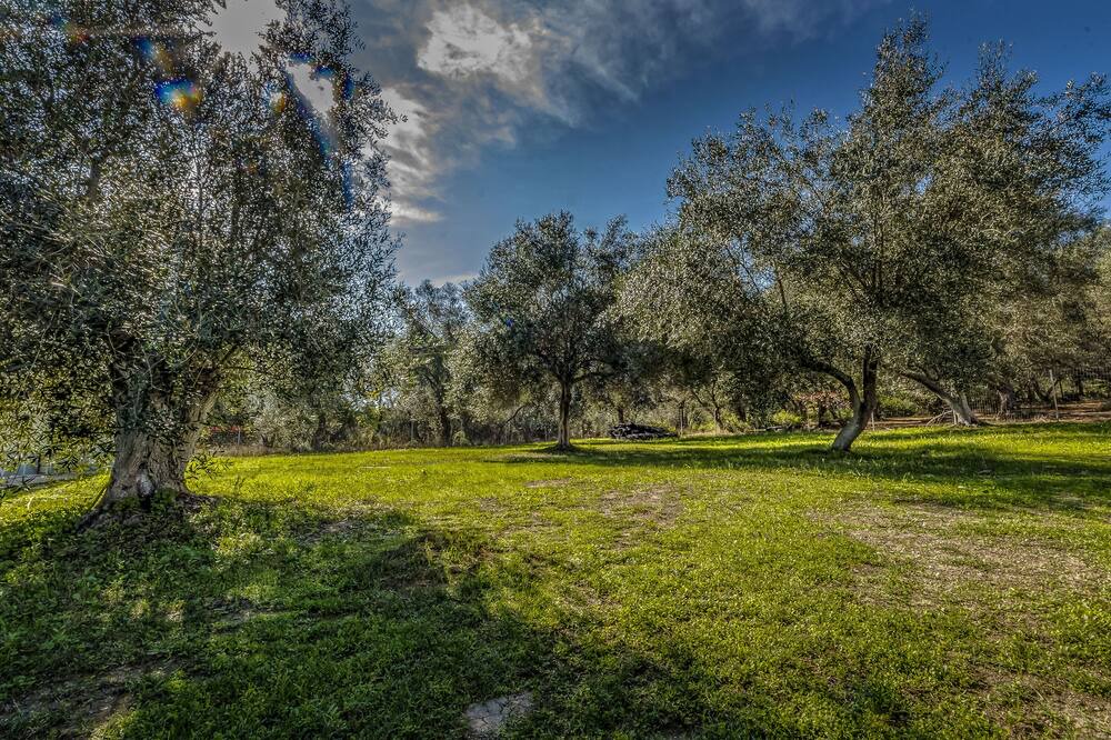 Photo of Outdoor in Kavos